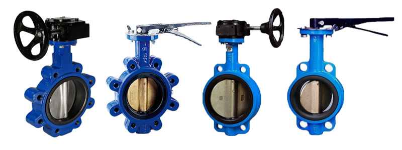 Butterfly Valve in India