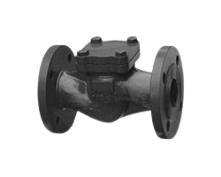 DIN Lift Check Valve Manufacturer in India