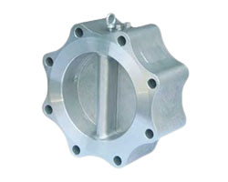 Integrated Lug Type Check Valve Manufacturer in India