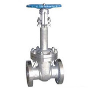 Cryogenic Gate Valve Manufacturer in India