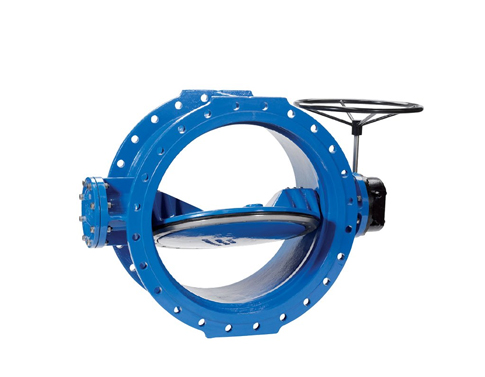 Double Eccentric Butterfly Valves Manufacturer in India