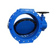 Double Eccentric Butterfly Valve Manufacturer in India
