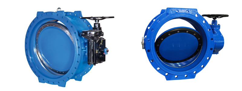 Double Eccentric Butterfly Valve in India