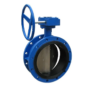  Flanged Butterfly Valve Manufacturer in India