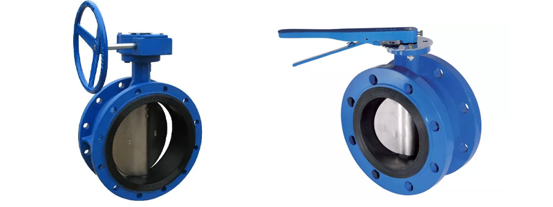 Flanged Butterfly Valve in India