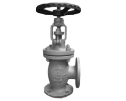 Angle Type Globe Valve Manufacturer in India