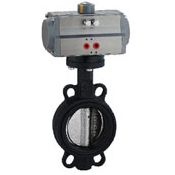  Pneumatic Butterfly Valve Manufacturer in India