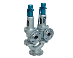 Double Spring Type Safety Valve Manufacturer in India