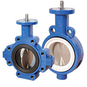 Wafer (Lug) Butterfly Valve Manufacturer in India