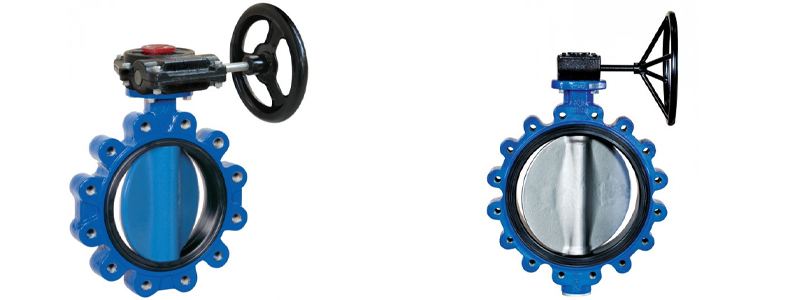 Wafer (Lug) Butterfly Valve in India