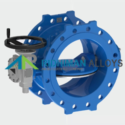 Eccentric Butterfly Valve Manufacturer in India