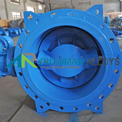 Eccentric Butterfly Valve Supplier in India