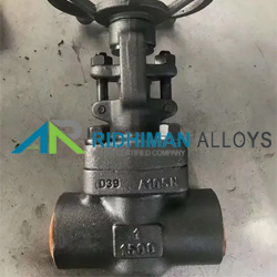Forged Steel Gate Valve Supplier in India