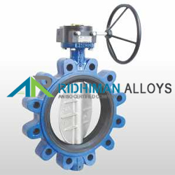 Wafer (Lug) Butterfly Valve Manufacturer in India