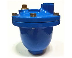 Micro Air Release Valve Micro Air Release Valve Manufacturer, Supplier, Dealer in India