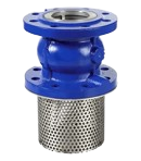 PFA Lined Foot Valves Manufacturer in India