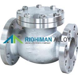 Ball Type Check Valve Manufacturer in India