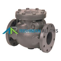 Ball Type Check Valve Supplier in India